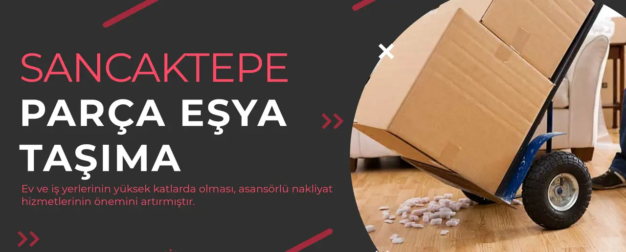 Müşterilerimiz için evden eve nakliye, ofis taşımacılığı ve depolama gibi çeşitli hizmet seçenekleri sunuyoruz.
